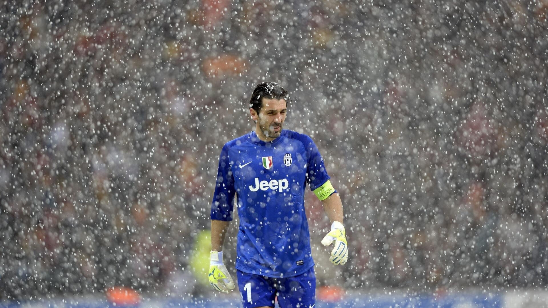 蝶泳冲刺朝鲜新秀展现速度，最新蝶泳视频